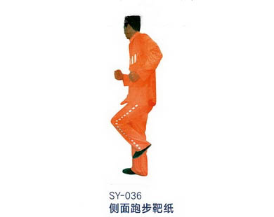 SY-036