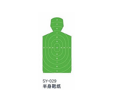 SY-029